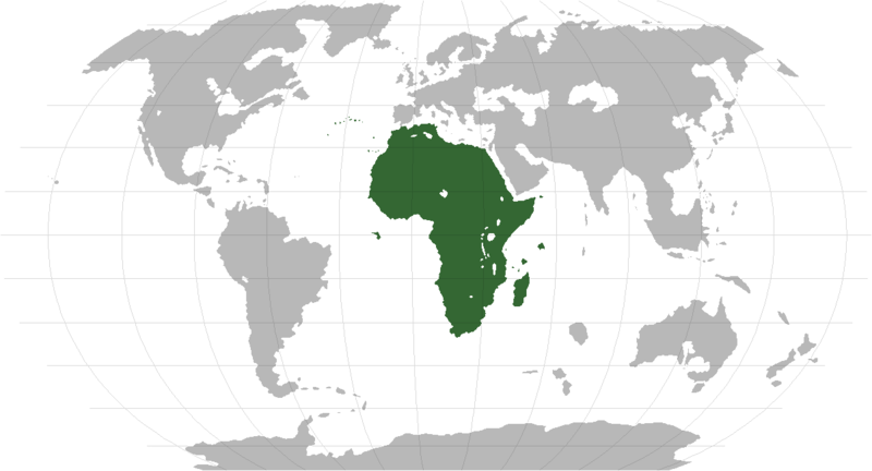 File:CEWorld africa.png